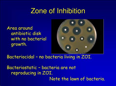What Is zone of inhibition in Microbiology .